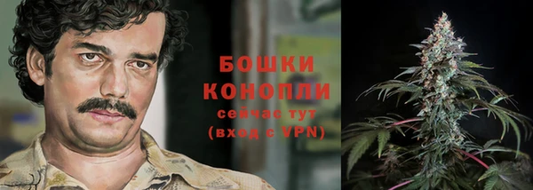дурь Алзамай