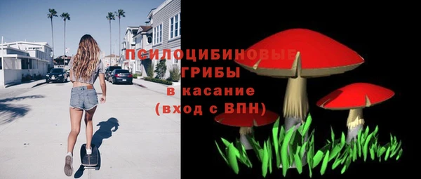 дурь Алзамай
