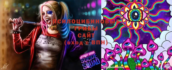 каннабис Алексеевка