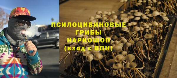 каннабис Алексеевка