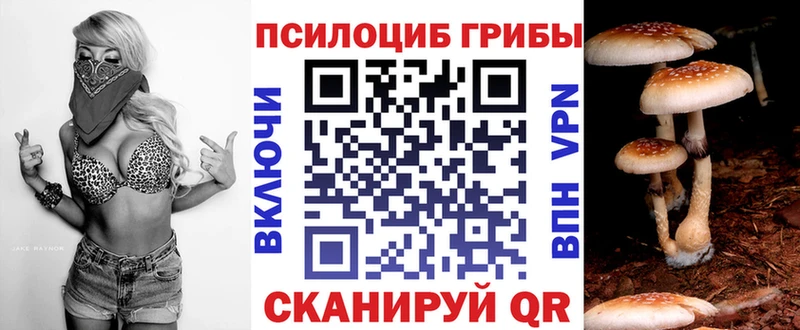 где найти   Канаш  Псилоцибиновые грибы ЛСД 